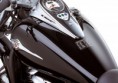 /album/vulcan-900-classic/tanque-jpg/